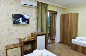 TV a/nebo společenská místnost v ubytování Hotel Lion