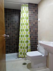 a bathroom with a toilet and a shower curtain at Apartamento La Ermita Wifi in Jerez de la Frontera