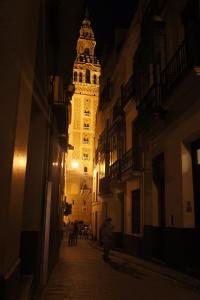 Fotografie z fotogalerie ubytování Cosy Apartment in center cathedral v destinaci Seville