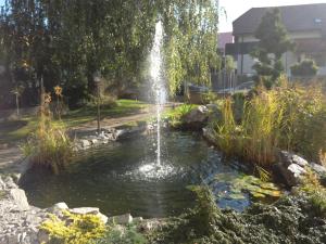une fontaine dans un étang dans un jardin dans l'établissement Fontána, à Prague