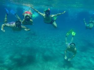 Snorkling og/eller dykning ved hotellet eller i nærheden