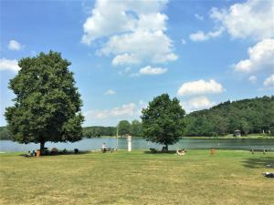 ein Park mit Bäumen und einem Wasserkörper in der Unterkunft Hotel Seebach in Großenseebach