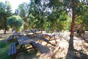 Zahrada ubytování Camping du Soleil