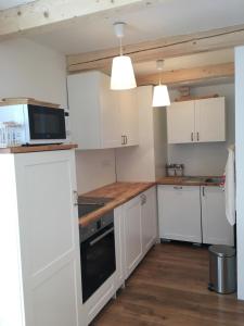 Kuchyň nebo kuchyňský kout v ubytování House Apartmentshumpolec + Garden + 19 fotografií
