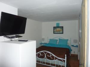 a bedroom with a bed and a flat screen tv at Gîte de Saint Cassien in Montauroux