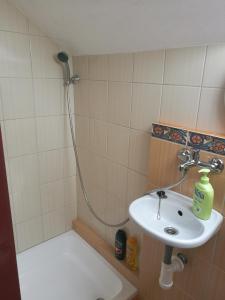 y baño con lavabo y ducha. en Apartman v zahrade, en Nová Včelnice