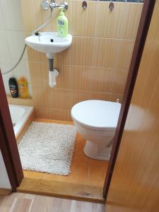 La salle de bains est pourvue de toilettes et d'un lavabo. dans l'établissement Apartman v zahrade, à Nová Včelnice