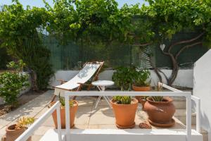 Zahrada ubytování Vamare Beachfront House