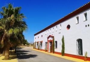 Gallery image of Complejo Pueblo Blanco in Olvera