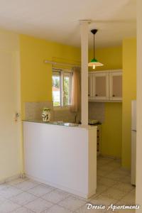 Kuchyň nebo kuchyňský kout v ubytování Drosia Apartments