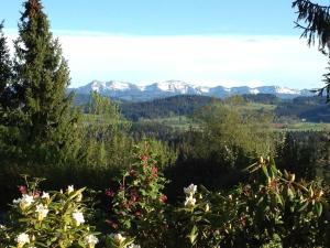 a view of snow capped mountains from the forest at Berghotel Jägerhof ****S in Isny im Allgäu