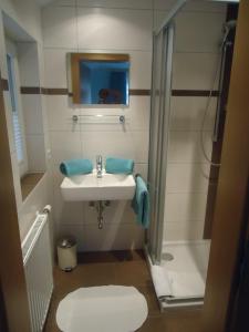 Un pequeño baño con lavabo y ducha. en Haus am Wald, en Neustift im Stubaital 81 fotos más