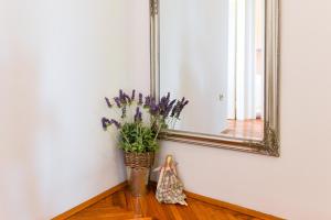 Fotografia z galérie ubytovania Apartments Čolak v destinácii Zadar