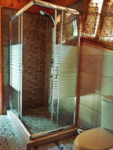 a shower with a glass door in a bathroom at Oresivio in Metsovo