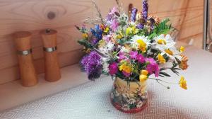 Fotografie z fotogalerie ubytování Tiny House Olivia v destinaci Liptovský Hrádok