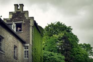 eine Person schaut aus dem Fenster eines Gebäudes in der Unterkunft Hotel- en Restaurant Kasteel Elsloo in Elsloo