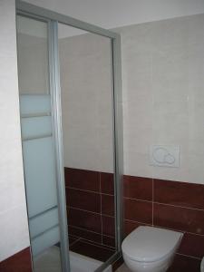 ロゼート・デッリ・アブルッツィにあるDonizetti Apartment 4のバスルーム(トイレ、ガラス張りのシャワー付)