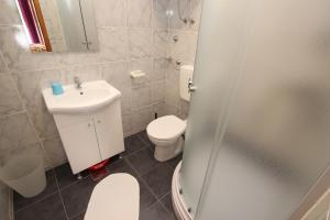 a bathroom with a toilet and a sink and a shower at Apartment Sandi in Vrsar