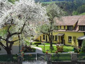 Zahrada ubytování Pension Hendling