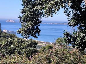 a view of the ocean from a hill with trees at Casa Verde in Rio de Janeiro