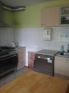 a kitchen with a stove and a sink at Atpūtas komplekss Lakši in Usma