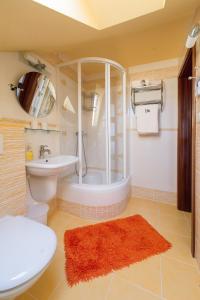 a bathroom with a shower and a toilet and a sink at Farma Loreta in Vlašim
