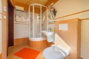 a bathroom with a shower and a toilet and a sink at Farma Loreta in Vlašim