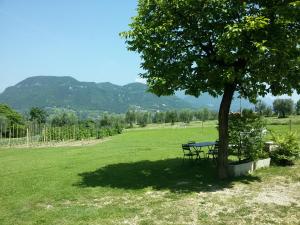 Afbeelding uit fotogalerij van Agriturismo la Scala in Salò