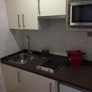 eine Küche mit einer Spüle und einer Arbeitsplatte in der Unterkunft Boulevard Suite Cordoba in Córdoba