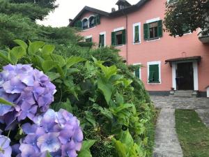A garden outside Villa Le Vignole