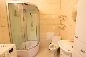 ウファにあるБакалинская,21 Однокомнатные апартаментыのバスルーム(シャワー、トイレ、シンク付)