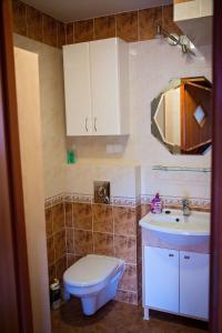 a bathroom with a toilet and a sink and a mirror at Lodges Zacisze I in Giżycko +60 photos