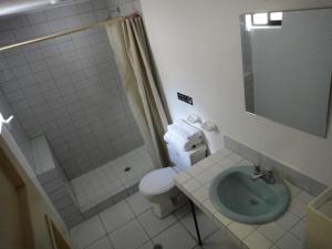 a bathroom with a toilet and a sink and a shower at Alston Inn Hotel in Quito