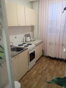 een kleine keuken met een fornuis en een wastafel bij Apartment Alipašino in Sarajevo