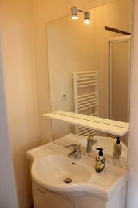 a bathroom with a sink and a mirror at Un Joli Pied a Terre in Montignac +17 photos