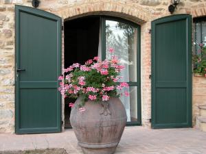 a large vase filled with pink flowers in front of a building at Azienda Agraria Montelujano in Gubbio