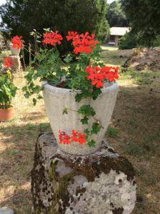 A garden outside Agriturismo Il Morello
