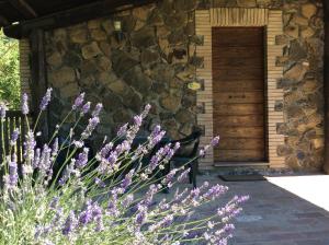 A garden outside Agriturismo Il Morello