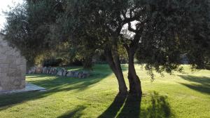 Gallery image of B&B Majore in Olbia