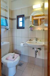 a bathroom with a toilet and a sink at Villa Kiki Paxos Ozias in Gaios