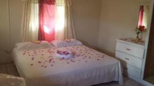 a small bedroom with a bed with confetti on it at Hilltop View Guesthouse in Castries