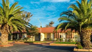 a building with palm trees in front of it at Australind Tourist Park in Australind