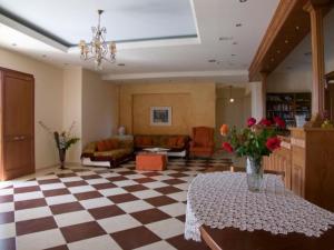 Posezení v ubytování Melidron Hotel