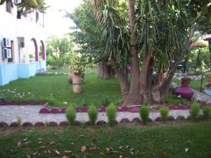 Zahrada ubytování Hotel Elytis