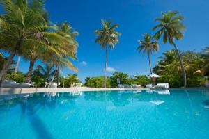 A piscina em ou perto de Safari Island