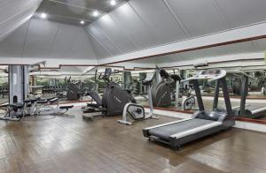 O centro de fitness e/ou as comodidades de fitness de Safari Island