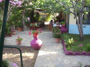 Zahrada ubytování Hotel Elytis