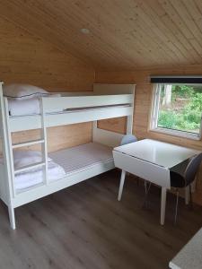 a small room with a bunk bed and a desk at Halens Camping och Stugby in Olofström +45 photos
