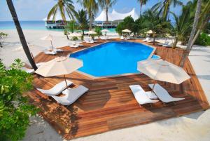A piscina em ou perto de Safari Island