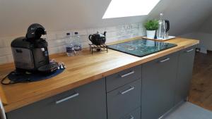 a kitchen with a counter top with a blender on it at Apartament Przy Rynku in Opole +28 photos